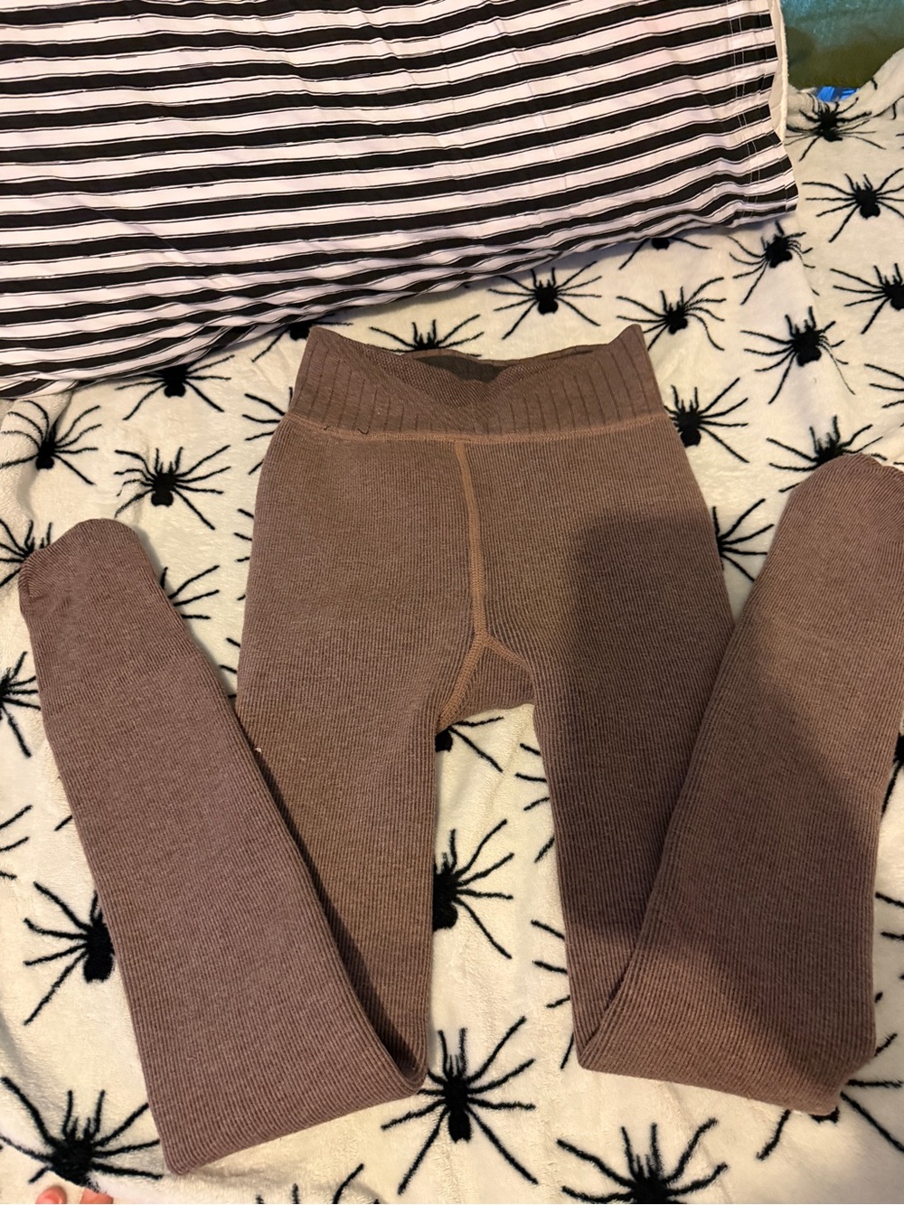 Women's Ribbed Knit Leggings in Brown